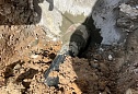ЖК “Левенцовка Парк”: система автополива для комфортной жизни