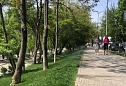 Система умного полива в ЖК DOGMA PARK