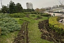 Система автоматического полива на Кубанской набережной