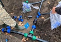 Система автоматического полива на Кубанской набережной