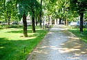 Сквер Толстого: комплексное благоустройство общественного пространства